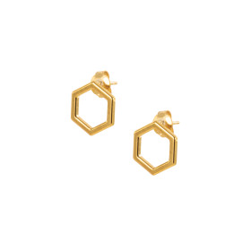 Boucles d'oreilles puces Dupont